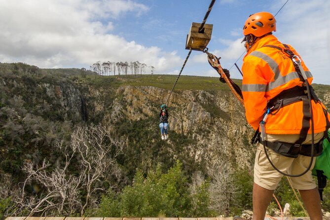 Knysna Small-Group Zipline Tour  - Plettenberg Bay - Cancellation Policy