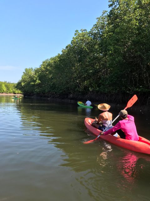 Ko Lanta: Half-Day Mangrove Kayaking Tour With Lunch - Review Summary