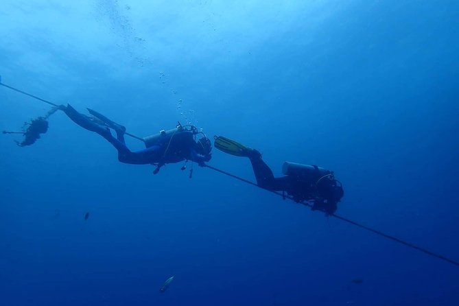 Koh Chang Dive Trip Including 3 Dives (Start at Koh Chang) - Trip Inclusions, Pricing, and Terms