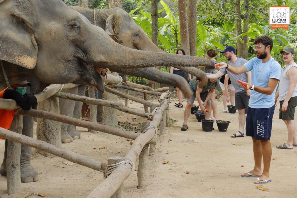 Koh Samui: Elephant Sanctuary Entry and Feeding Experience - Review Summary