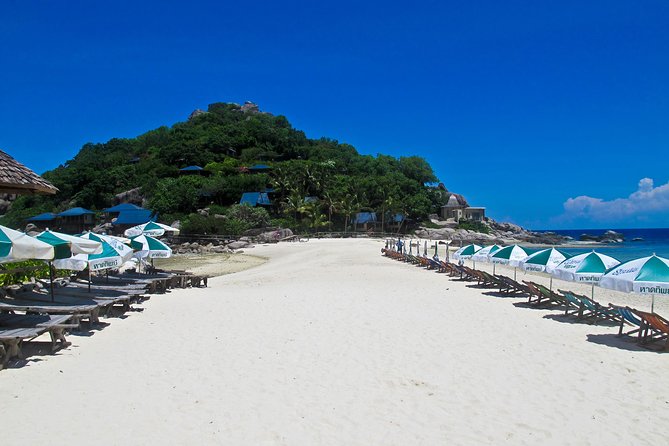 Koh Tao and Koh Nang Yuan Snorkel Tour (Speedboat From Koh Samui) - Pickup Points and Schedule