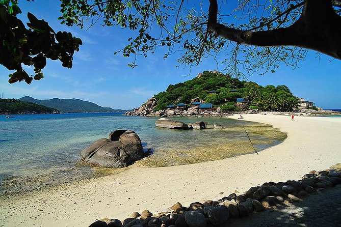 Koh Tao and Koh Nang Yuan Speedboat Tour From Koh Samui - Snorkeling and Island Visits