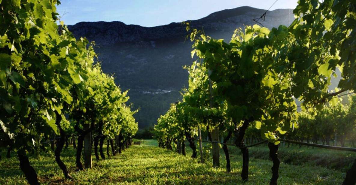 Konavle Wine Tasting Tour From Dubrovnik With 2 Vinery's - Tour Inclusions