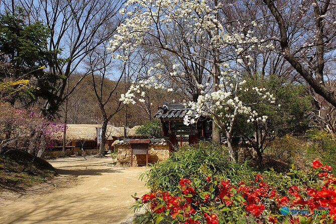 Korean Folk Village Half-Day Guided Tour From Seoul - Additional Tour Information