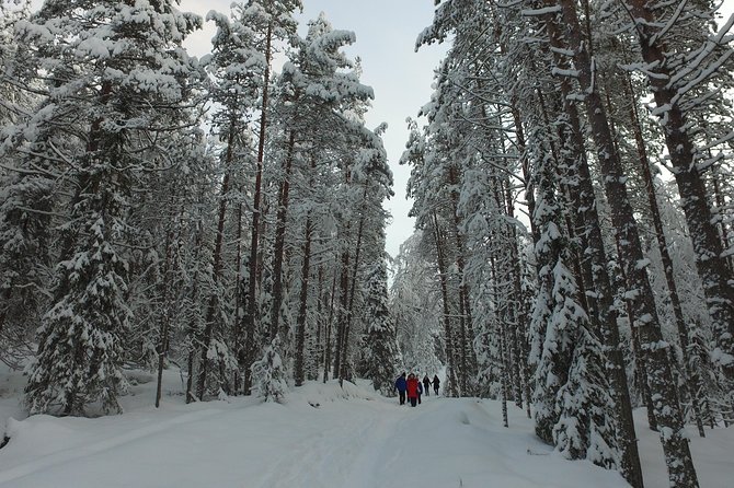 Korouoma National Park and Frozen Waterfalls Hiking Tour - Assistance and Booking Information