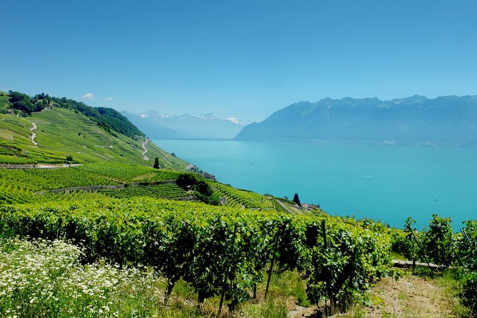(Kpg300) - Private Tour to the Swiss Riviera From Geneva - Check Availability