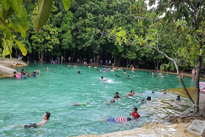 Krabi Emerald Pool, Hot Spring and Tiger Temple - Policies and Expectations