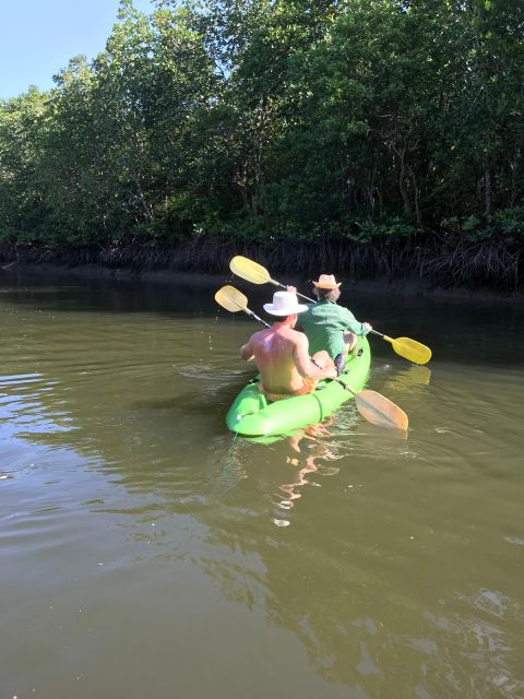 Krabi: Half Day Tour Mangrove Tour Kayaking Tour With Lunch - Activity Description