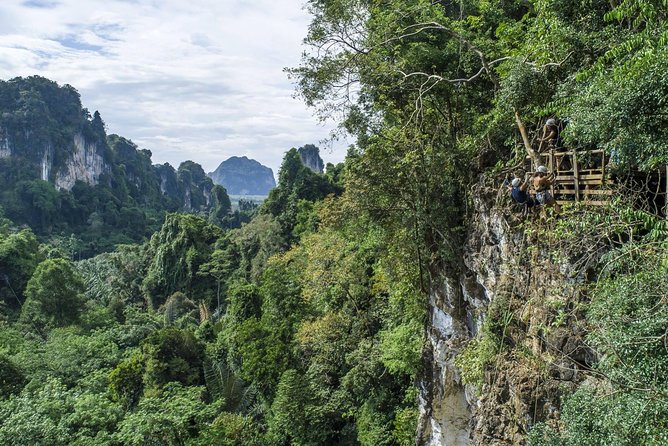 Krabi Half-Day Zipline Adventure Experience - Participant Requirements