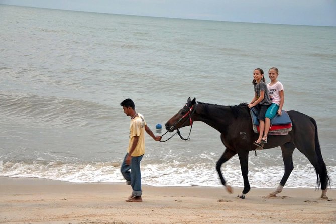 Krabi Horse Riding at Ao Nam Mao Beach - Cancellation Policy