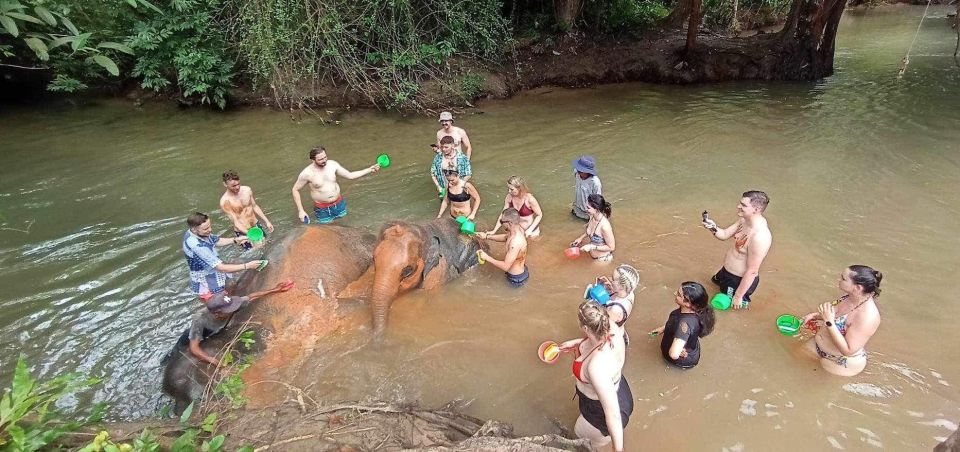Krabi Kayaking and Elephan Barting - Convenient Transportation Options
