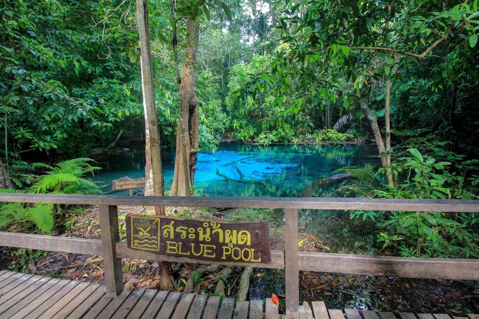 Krabi Outback Explorer to Emerald Pool & Wareerak Hotspring - Review Summary