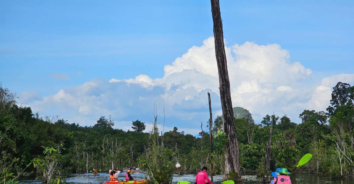 Krabi: South Kayak Klong Root Kayaking Tour - About the Activity