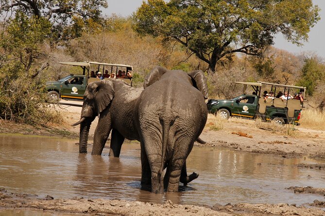 Kruger National Park Afternoon Private Safari - Cancellation Policy Details