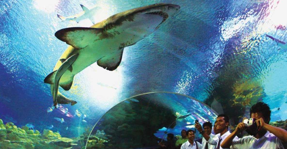 Kuala Lumpur: Aquaria KLCC Entrance Ticket - Visitor Ratings
