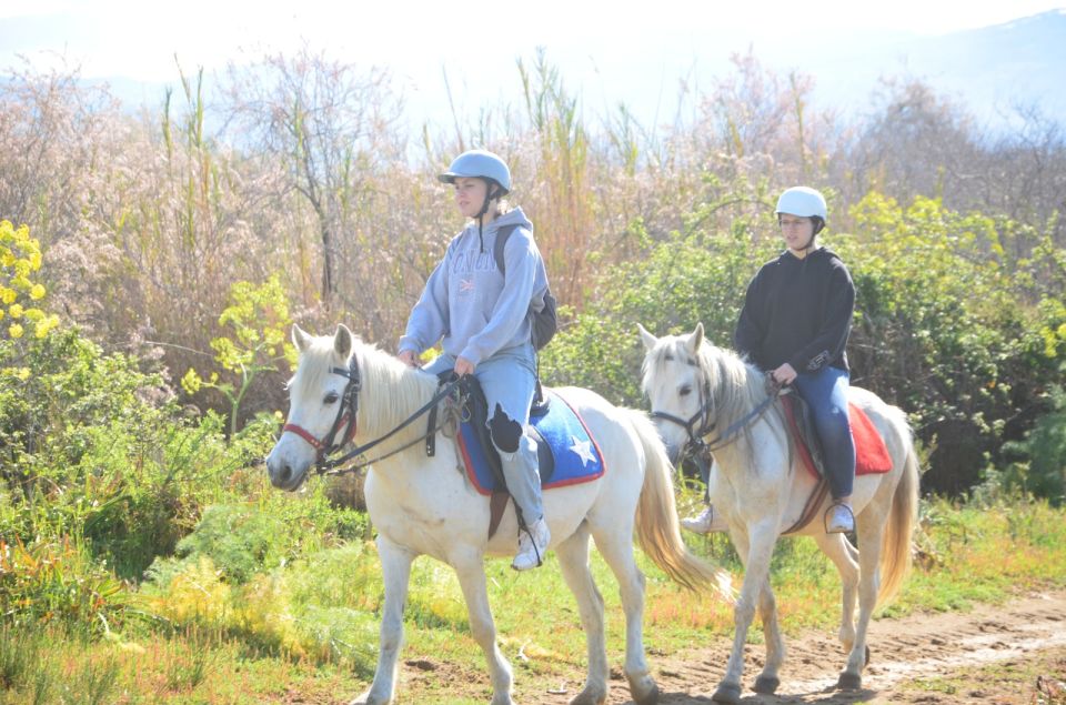 Kusadasi: Beach and Forest Horse Riding Tour - Reservation Information