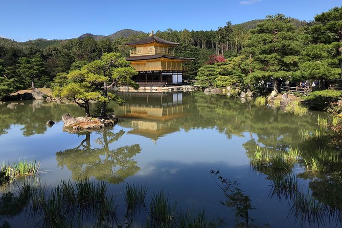 KYOTO-NARA With Private Car & Driver (Max 7 Pax) - Sightseeing Opportunities