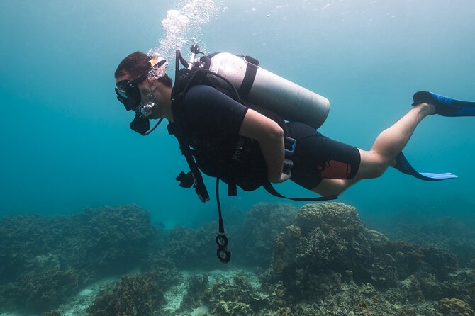 La Bombona Diving Koh Tao Try Dive - Safety Precautions and Guidelines