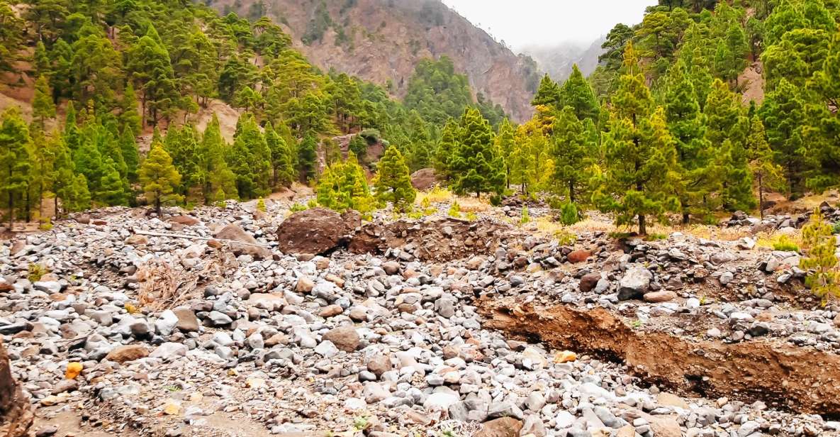 La Palma: Caldera De Taburiente National Park Guided Hike - Booking Information