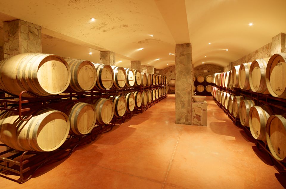 Lagoa: Guided Winery Tour and Local Wine Tasting - Activity Highlights
