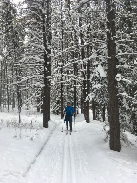 Lake Louise: Cross Country Skiing Lesson With Tour - Highlights of the Skiing Tour