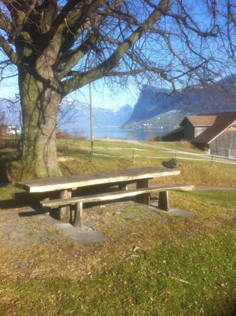Lake Lucerne Half-day Countryside Walk - Tour Inclusions