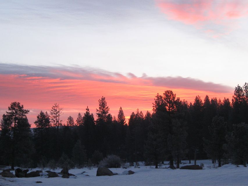 Lake Tahoe: Sunset Snowshoe Trek With Hot Drinks and Snacks - Included Services