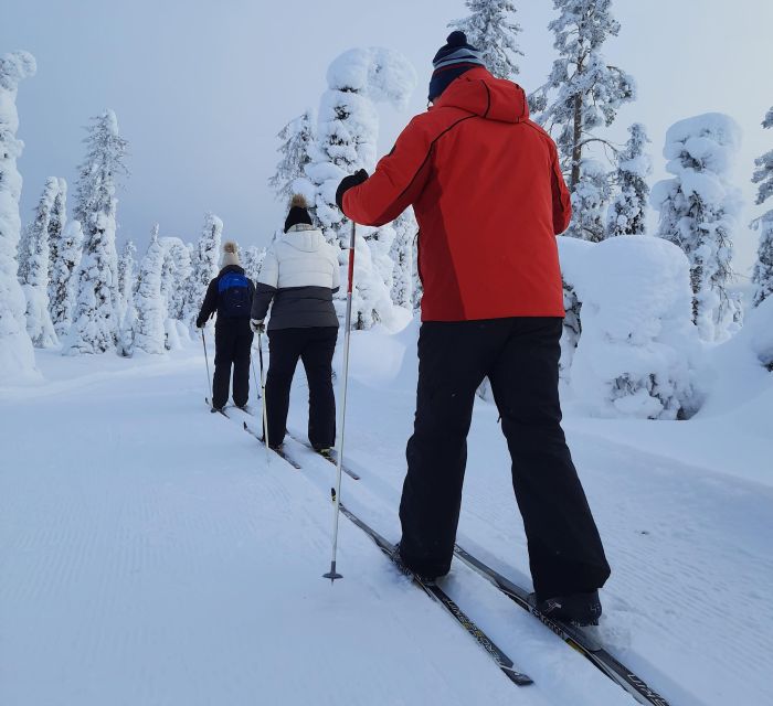 Lapland Levi: Cross-country Skiing for Beginners - Experience Highlights