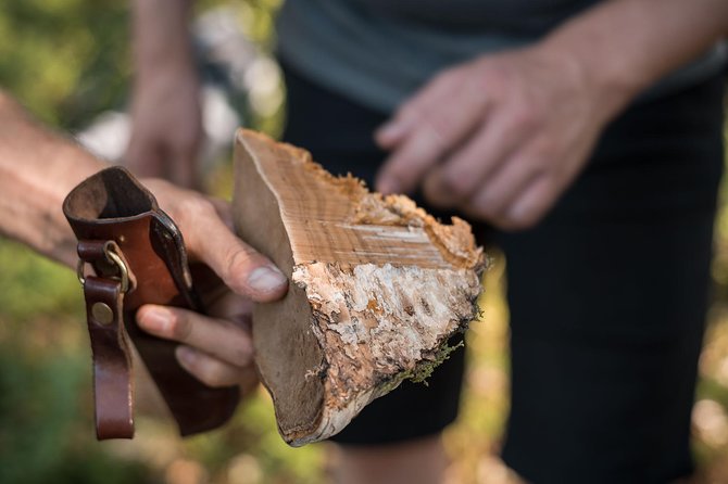 Lapland Small-Group Foraging Tour From Rovaniemi (Mar ) - Important Information for Travelers