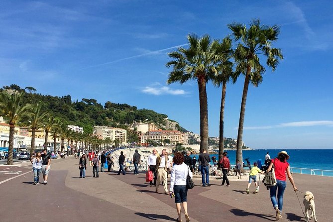 Large Group French Riviera Tailor-Made Private Excursion - Customer Support Services