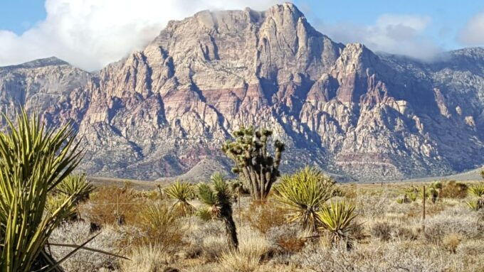 Las Vegas: Red Rock Canyon Ultimate Guided Tour - Booking Information