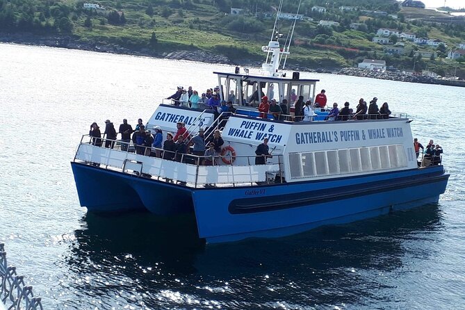 Late Season Puffin & Scenic Coastal Cruise - Cancellation Policy Details