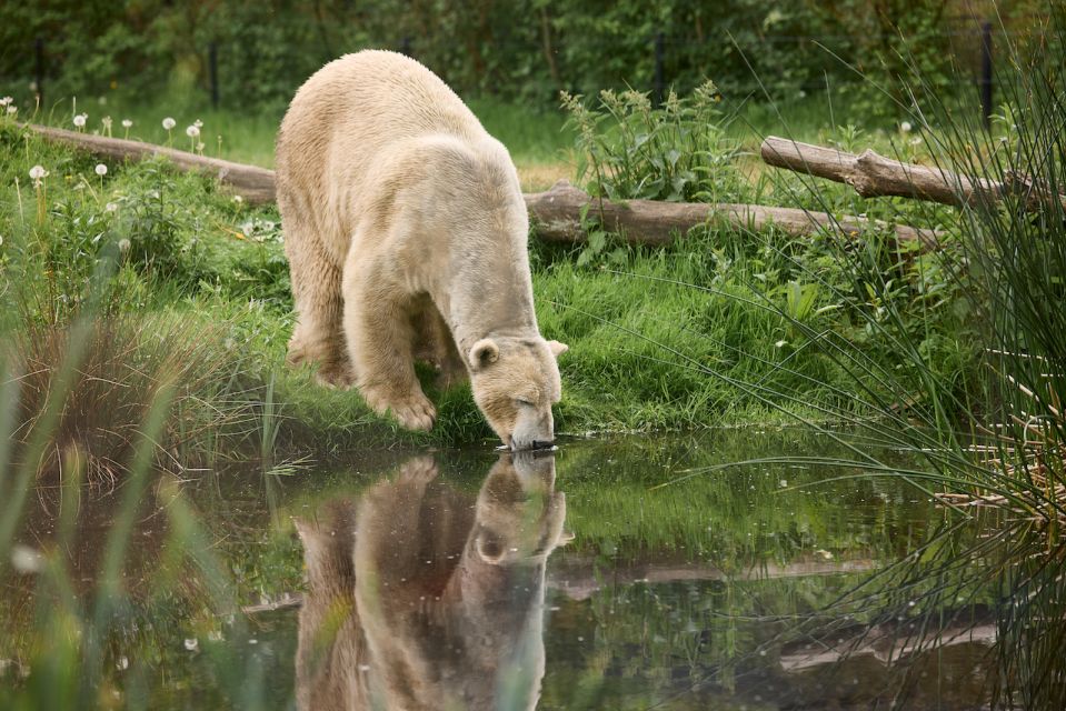 Leewarden: AquaZoo Entry Ticket - Highlights