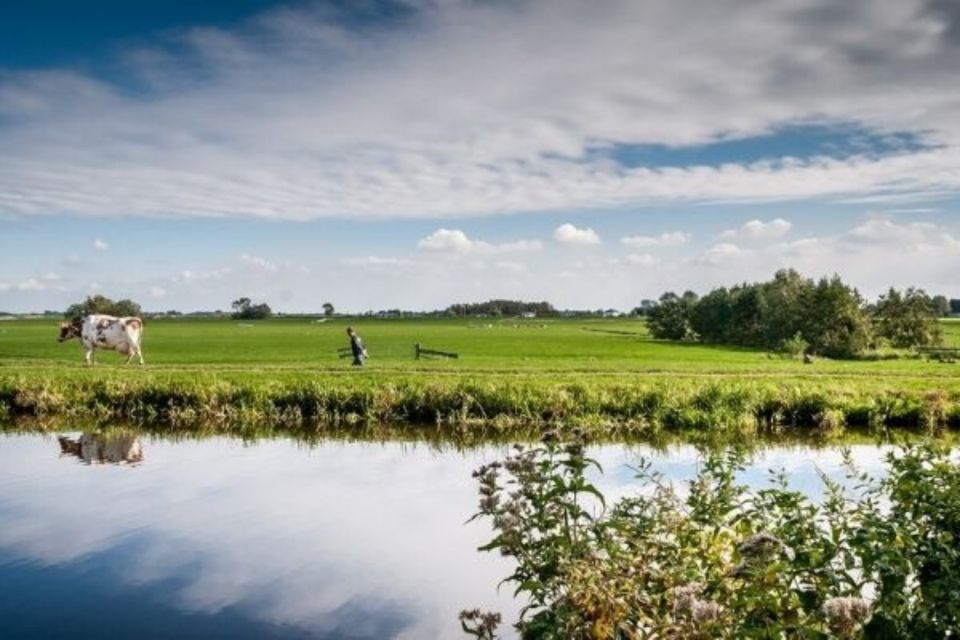 Leiden: Windmill and Countryside Cruise Near Keukenhof - Tour Description