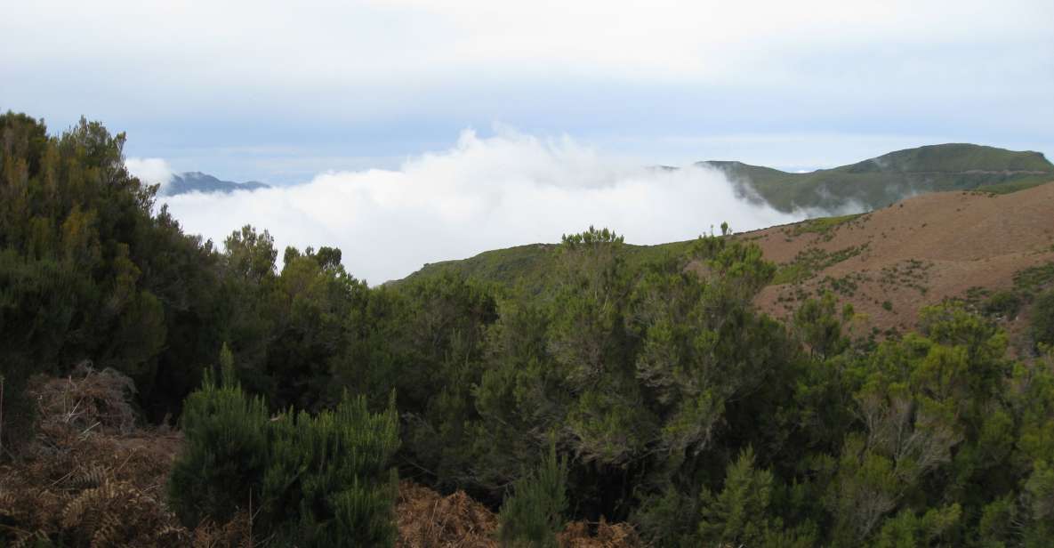 Levada Do Alecrim (Madeira Lakes) Full-Day Walk - Walk Highlights