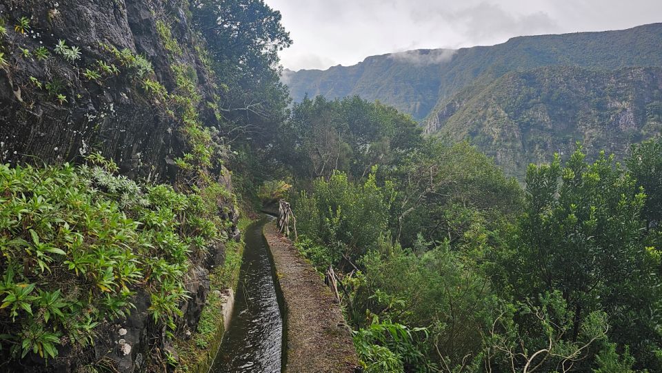 Levada Dos Tornos-Boaventura by Overland Madeira - Booking and Payment