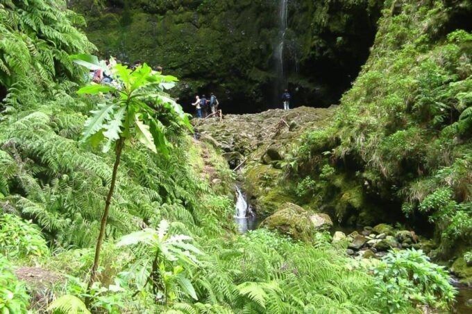 Levada Walk and Caldeirao Verde Waterfalls: Madeira - Booking Convenience