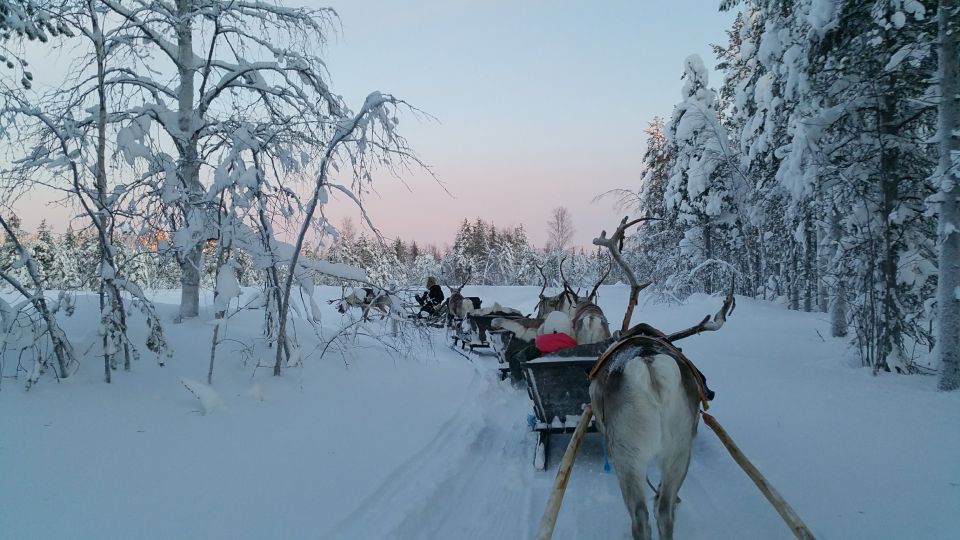 Levi: 3km Reindeer Sleigh Ride - Participant Guidelines and Necessities
