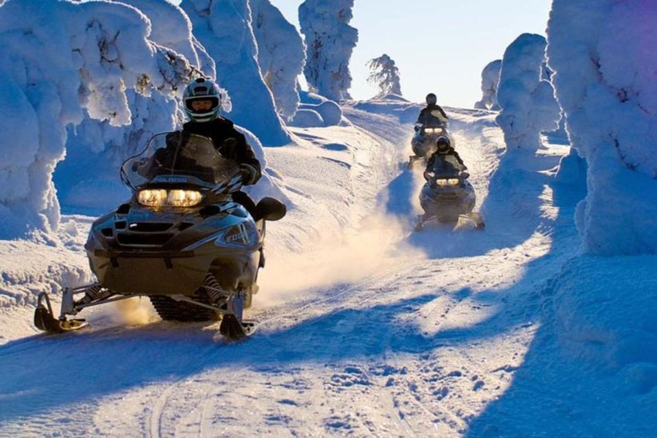 Levi: Lapland Family Snowmobile Safari - Highlights