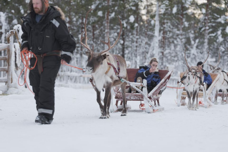 Levi: Lappish Village Experience and Reindeer Sled Ride - Pickup Information