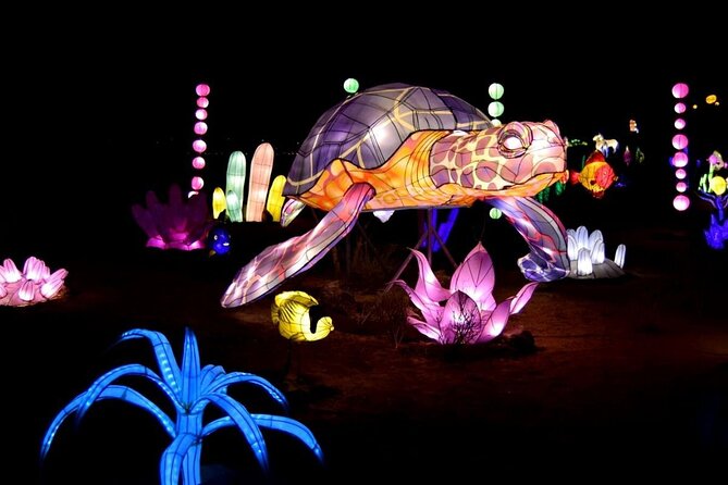 Light Park Tenerife - Events and Special Offers