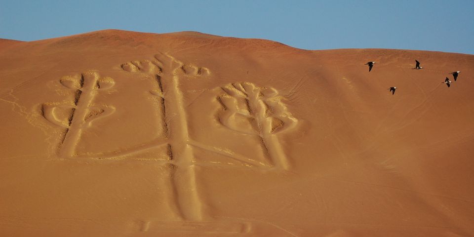 Lima: Ballestas Islands, Winery and Nazca Lines Private Tour - Detailed Itinerary