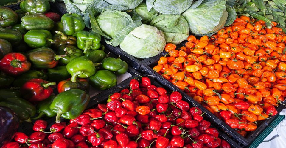 Lima's Food Tour Through Local Markets & Barranco Visit - Tour Highlights