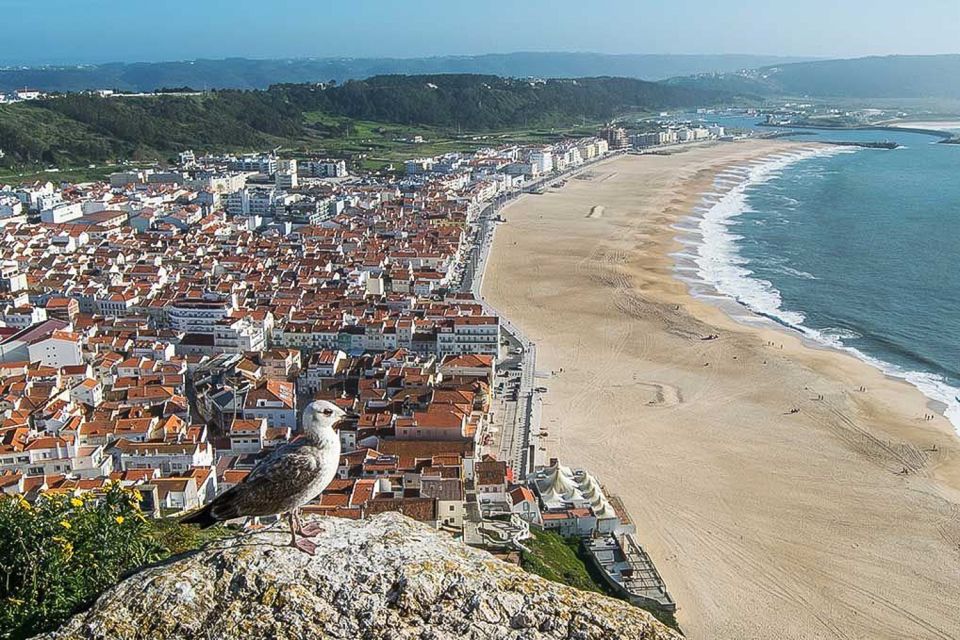 Lisbon: Fátima, Nazaré, and Óbidos Private Tour - Nazaré Surfing Experience