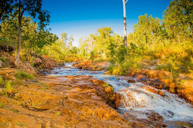 Litchfield National Park Waterfalls Day Trip From Darwin Including Termite Mounds and Lunch - Lunch and Refreshment Details
