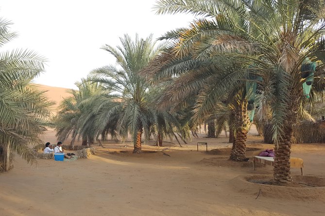 Liwa Oasis Desert Drive From Abu Dhabi - Engage With the Regions History