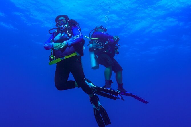 Local Reef Dives for Certified Divers - Expectations and Requirements