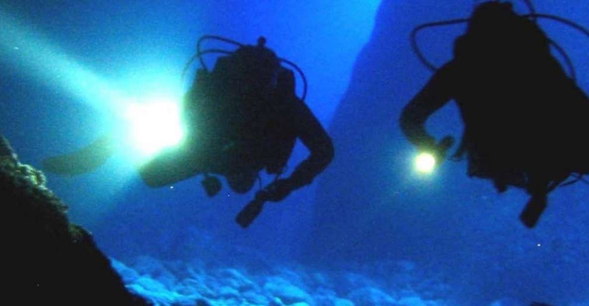 Local Scuba Night Dive - Inclusions and Equipment Provided