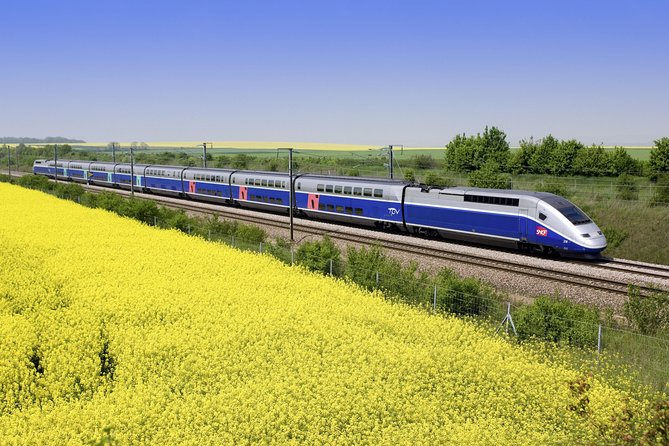 Loire Valley 2 Full Days Private Tour All Inclusive From Paris by TGV Train. - Reviews