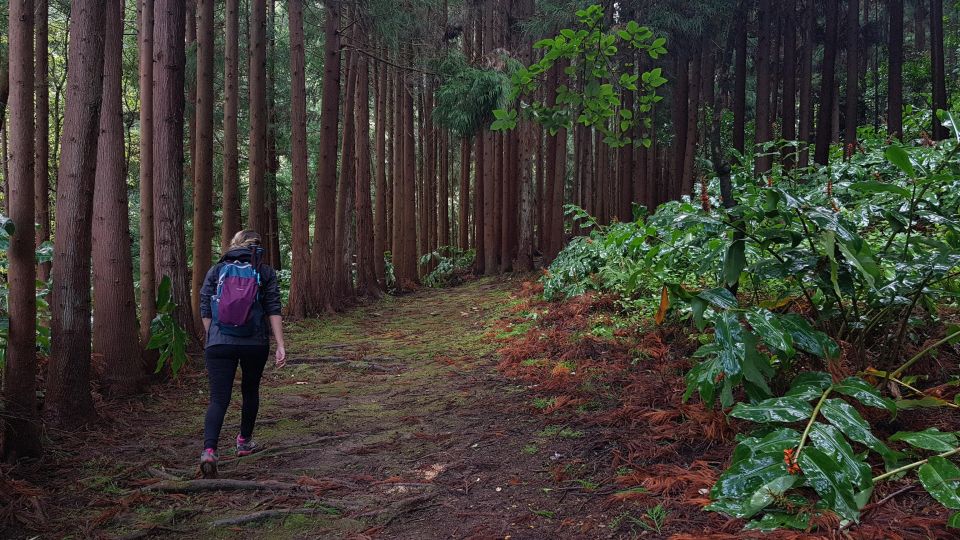 Lomba De São Pedro: Waterfall Hiking Tour With Tea Tasting - Full Description